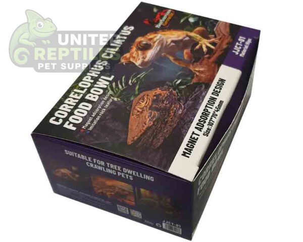 abstract hexagonal shape with lizard inside Gecko Feed Rock Magnetic Ledge