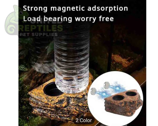 abstract hexagonal shape with lizard inside Gecko Feed Rock Magnetic Ledge