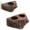 abstract hexagonal shape with lizard inside Gecko Feed Rock Magnetic Ledge