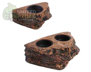 abstract hexagonal shape with lizard inside Gecko Feed Rock Magnetic Ledge