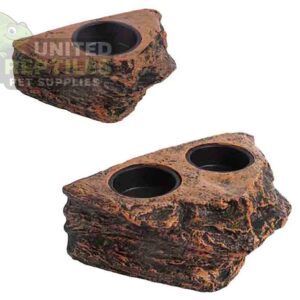 Gecko Feed Rock Magnetic Ledge
