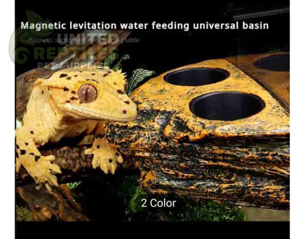 abstract hexagonal shape with lizard inside Gecko Feed Rock Magnetic Ledge