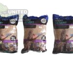 abstract hexagonal shape with lizard inside Giangarden CS16S ROCKY DESERT 2L