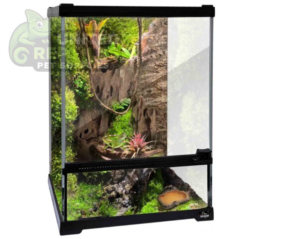 Giangarden Glass Terrariums Single Door