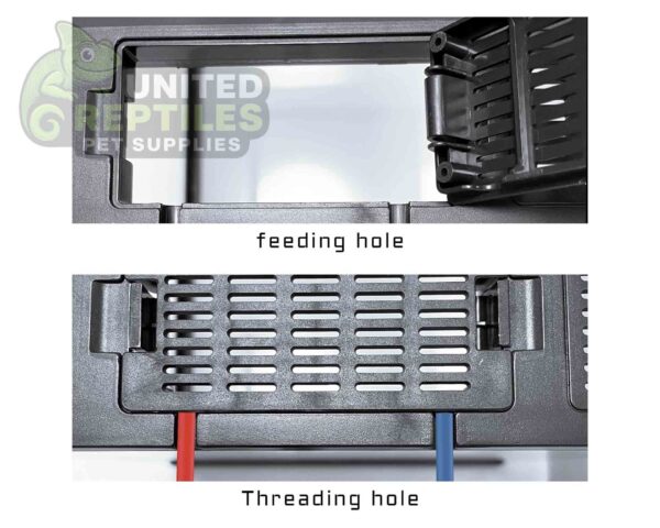 Giangarden Glass Terrariums Single Door