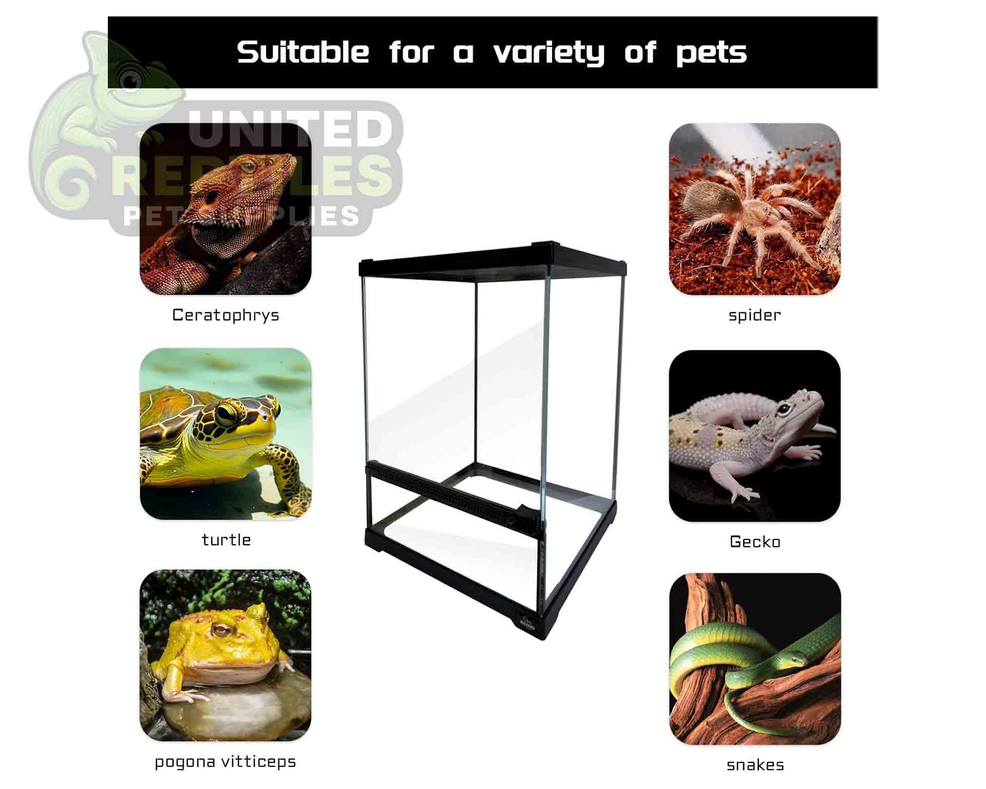 Giangarden Glass Terrariums Single Door - Image 4