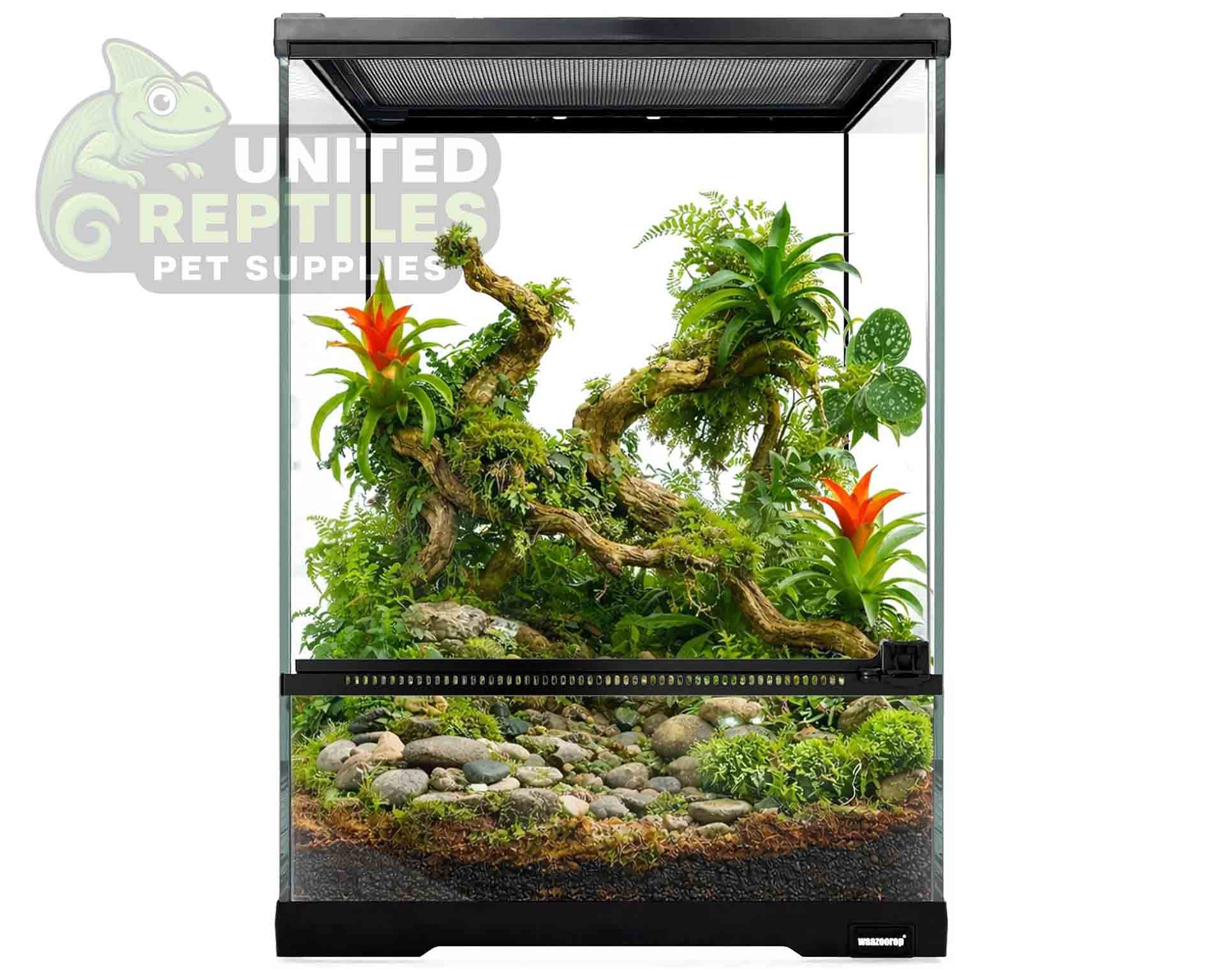 Giangarden Glass Terrariums Single Door - Image 2