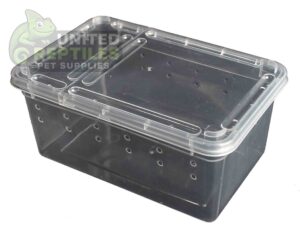 abstract hexagonal shape with lizard inside H3 Breeding Box (1pc)
