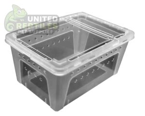 abstract hexagonal shape with lizard inside H4 Breeding Reptile Box (1pc)