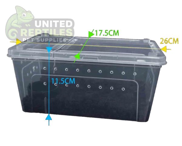 abstract hexagonal shape with lizard inside H4 Breeding Reptile Box (1pc)