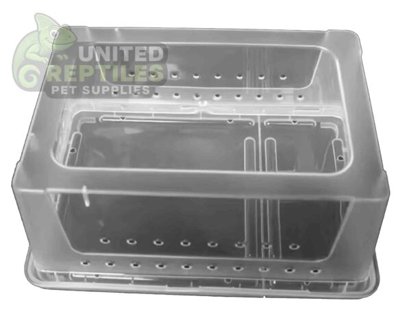 abstract hexagonal shape with lizard inside H4 Breeding Reptile Box (1pc)