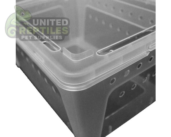 abstract hexagonal shape with lizard inside H4 Breeding Reptile Box (1pc)