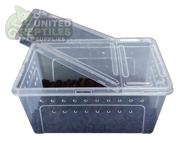 abstract hexagonal shape with lizard inside H4 Breeding Reptile Box (1pc)