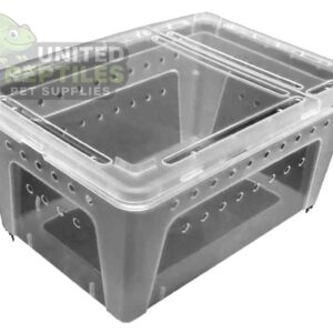 H5 Reptile Breeding Box (1pc)