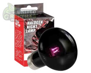 Halogen night lamp