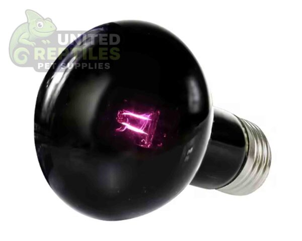 abstract hexagonal shape with lizard inside Halogen night lamp