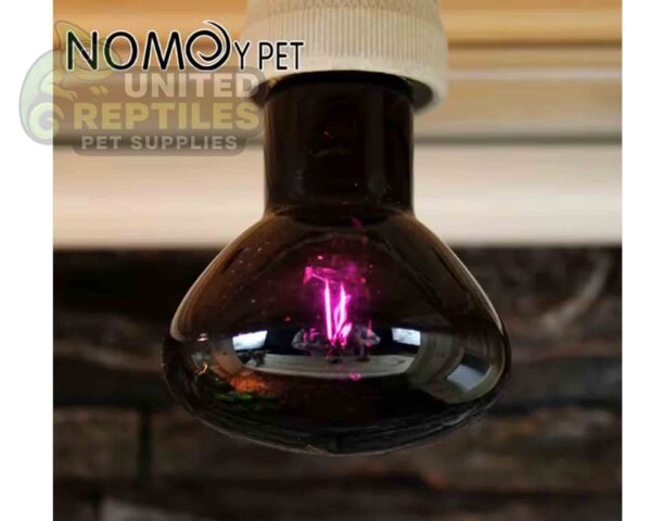 abstract hexagonal shape with lizard inside Halogen night lamp