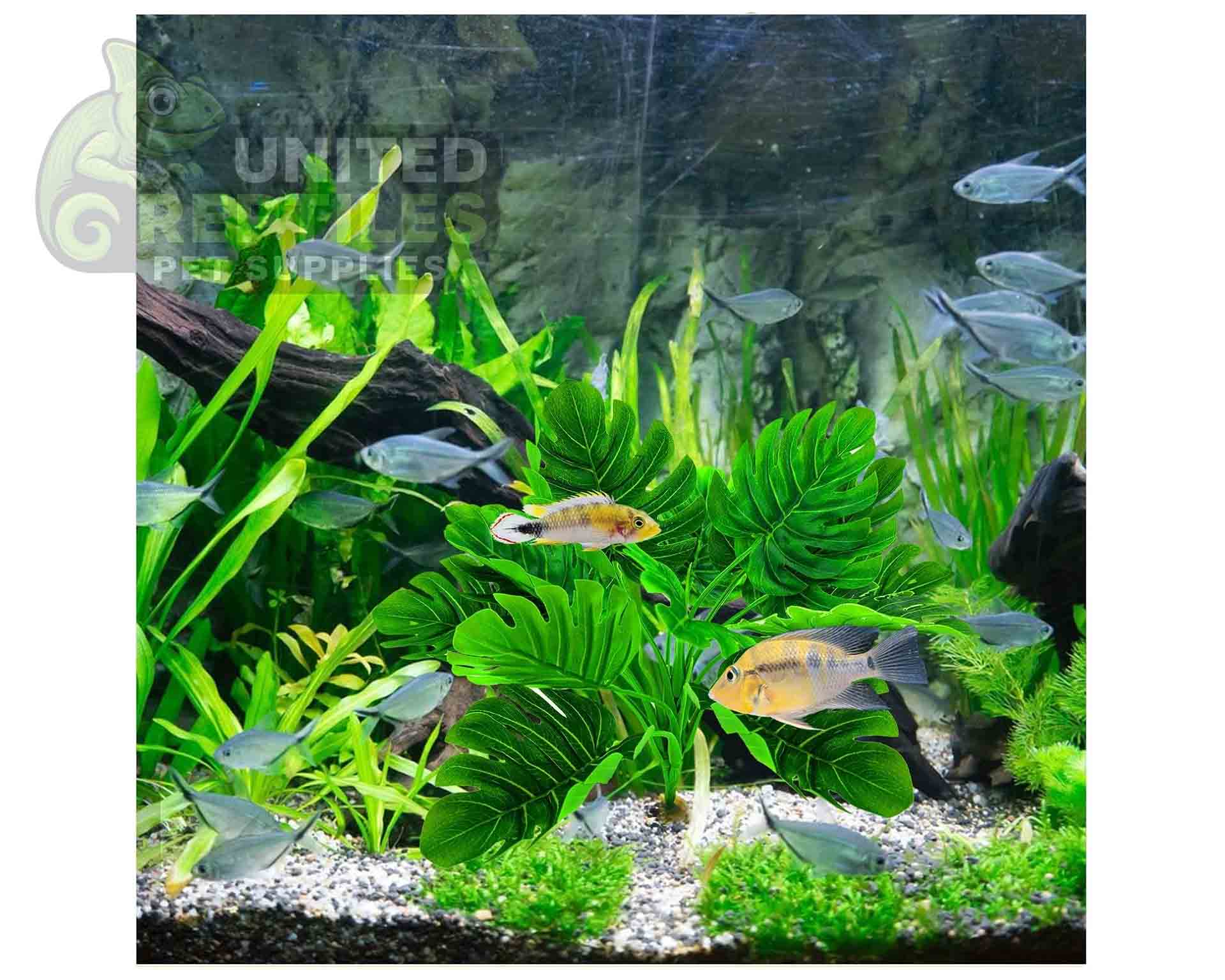 Reptile Artificial Plant JBY003 - Image 7