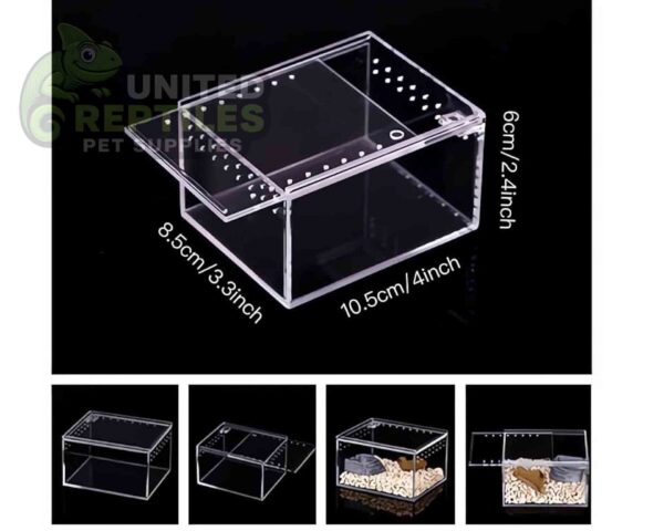 Magnetic Acrylic Reptile Box