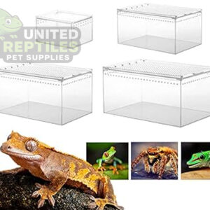 Magnetic Acrylic Reptile Box