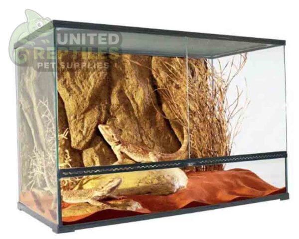 Mclanzoo Glass Terrarium Dual Doors