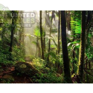 Mclanzoo Tropical Forrest Backdrop