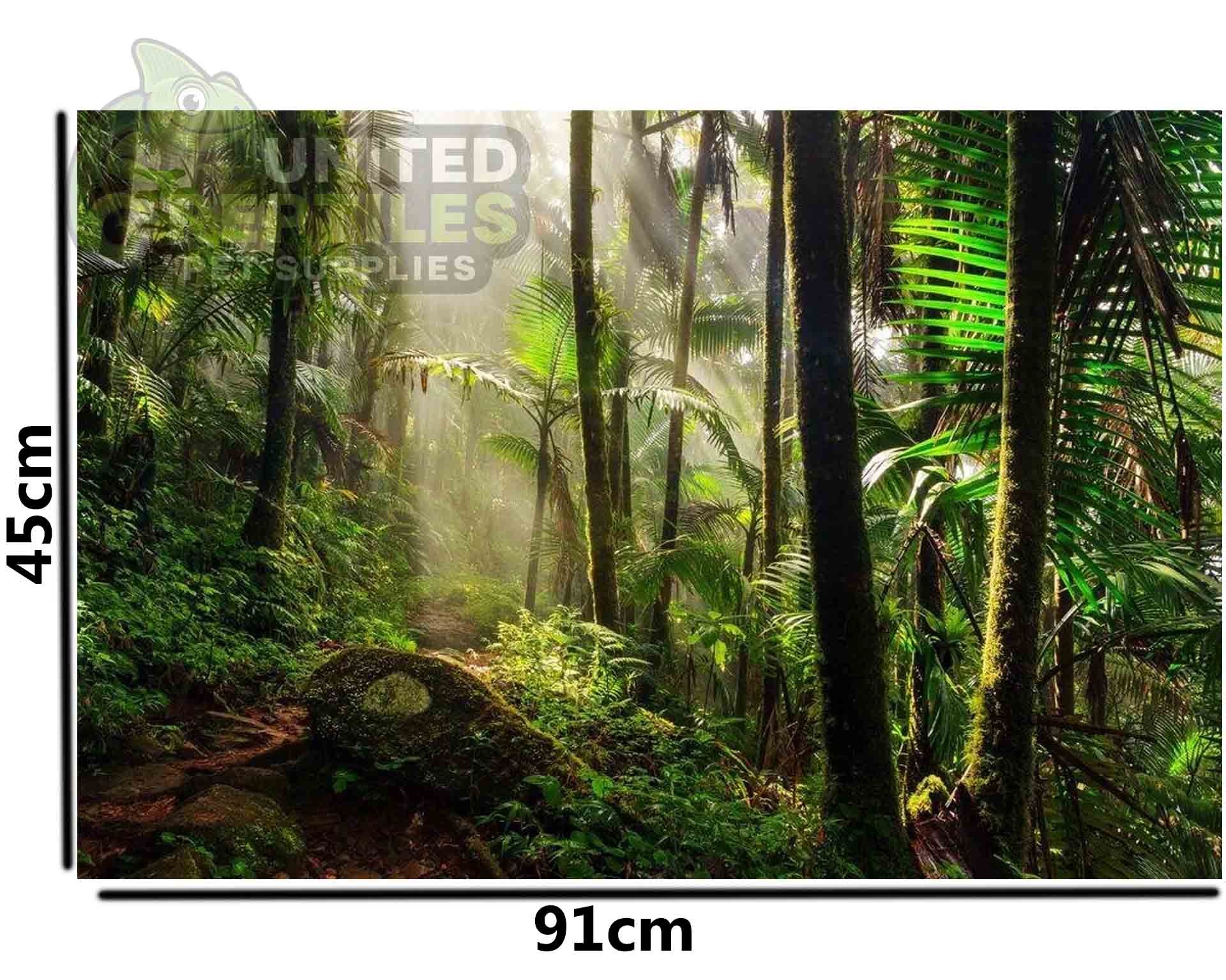Mclanzoo Tropical Forrest Backdrop - Image 3