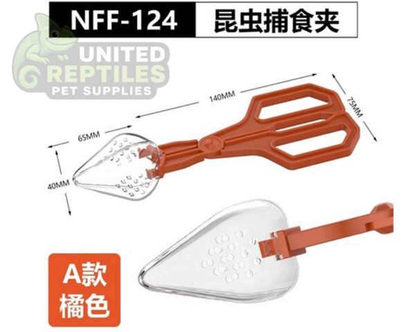 abstract hexagonal shape with lizard inside Insect Clip NFF124 Model