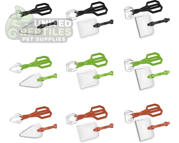 abstract hexagonal shape with lizard inside Insect Clip NFF124 Model