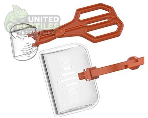 abstract hexagonal shape with lizard inside Insect Clip NFF124 Model