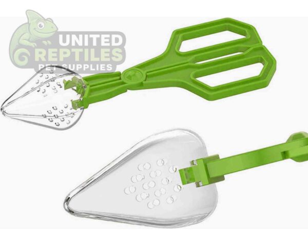 abstract hexagonal shape with lizard inside Insect Clip NFF124 Model