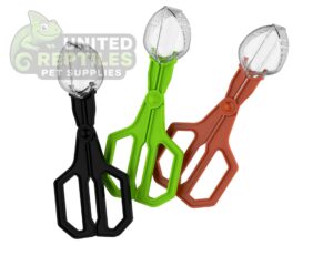 abstract hexagonal shape with lizard inside Insect Clip NFF124 Model