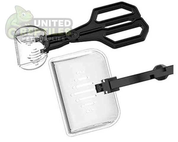 abstract hexagonal shape with lizard inside Insect Clip NFF124 Model