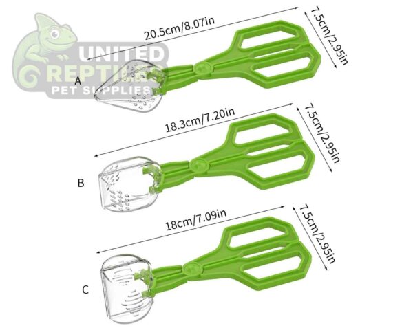 abstract hexagonal shape with lizard inside Insect Clip NFF124 Model