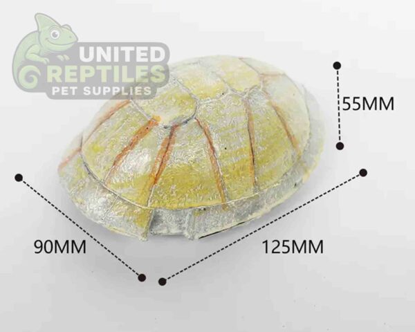 NS-106 Resin Turtle Skull