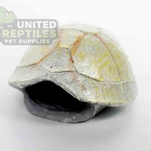 NS-106 Resin Turtle Skull