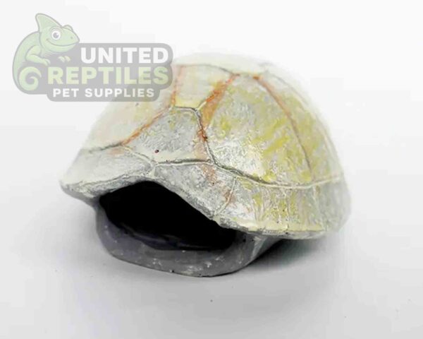 NS-106 Resin Turtle Skull