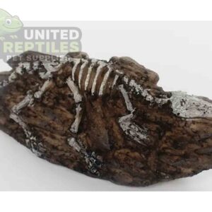 NS-124 Resin Fossil