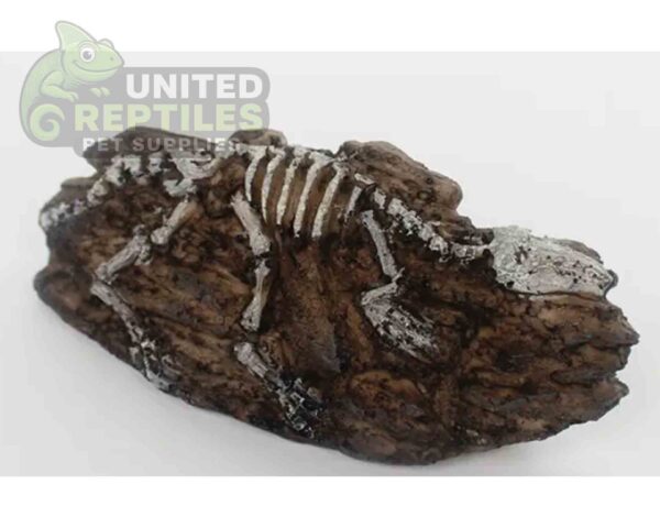 NS-124 Resin Fossil
