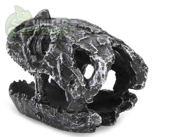 NS-19 Dinosaur Skull