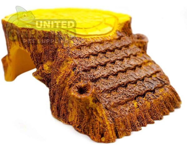 abstract hexagonal shape with lizard inside NS-29 Resin Hide Tree Stump