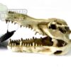 abstract hexagonal shape with lizard inside NS-60 Crocodile Skull