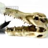 abstract hexagonal shape with lizard inside NS-60 Crocodile Skull