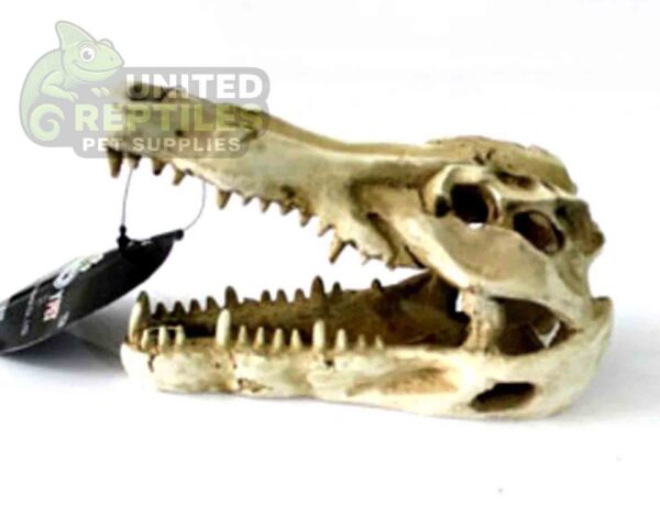 abstract hexagonal shape with lizard inside NS-60 Crocodile Skull