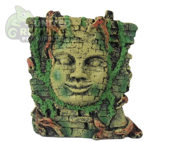 abstract hexagonal shape with lizard inside Maya Mask Decoration