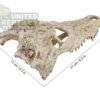 abstract hexagonal shape with lizard inside NS-72 Crocodile Skull