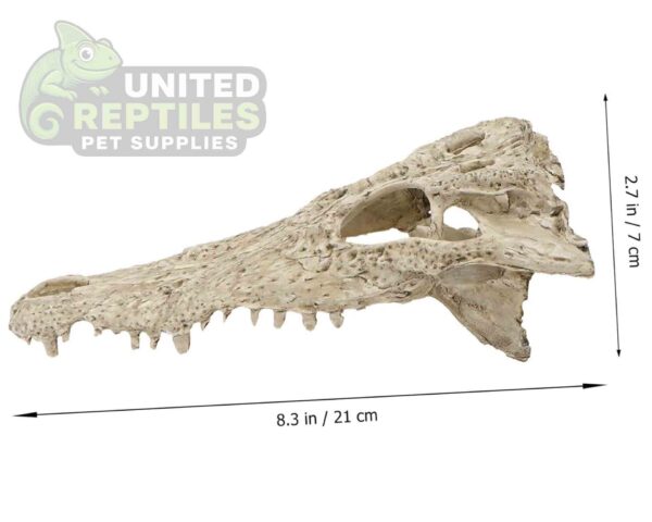 abstract hexagonal shape with lizard inside NS-72 Crocodile Skull