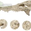 abstract hexagonal shape with lizard inside NS-72 Crocodile Skull