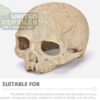 NS-73 Resin Primate Skull Head