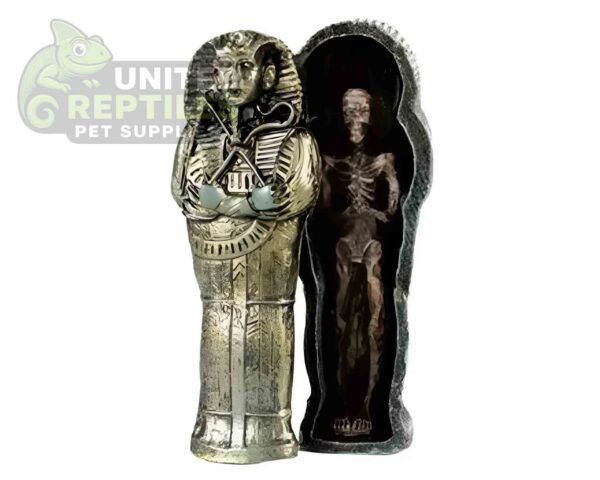 abstract hexagonal shape with lizard inside NS-93 Resin Mummy